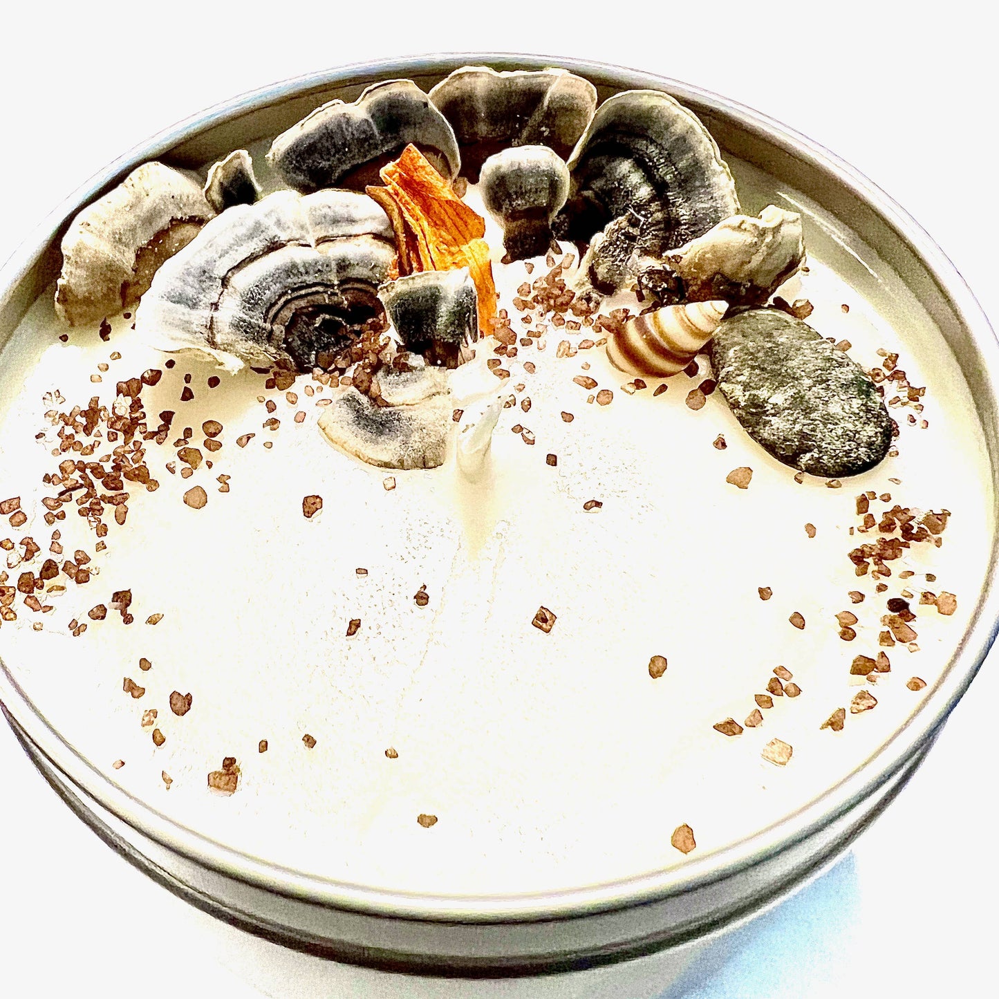 "Coral Reef" Artisanal Soy Candle - Spa Noir