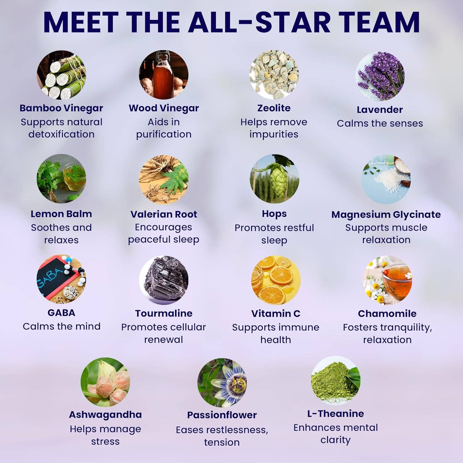 Magnesium Good Night Sleep Detox Foot Pads - Spa Noir