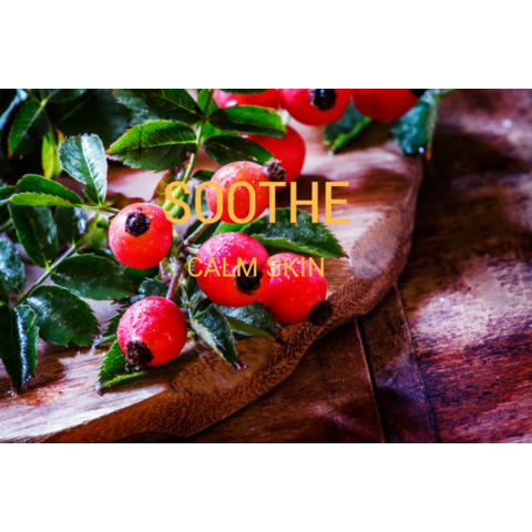 Host A Day Spa - spa-noir