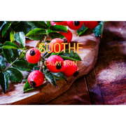 Host A Day Spa - spa-noir